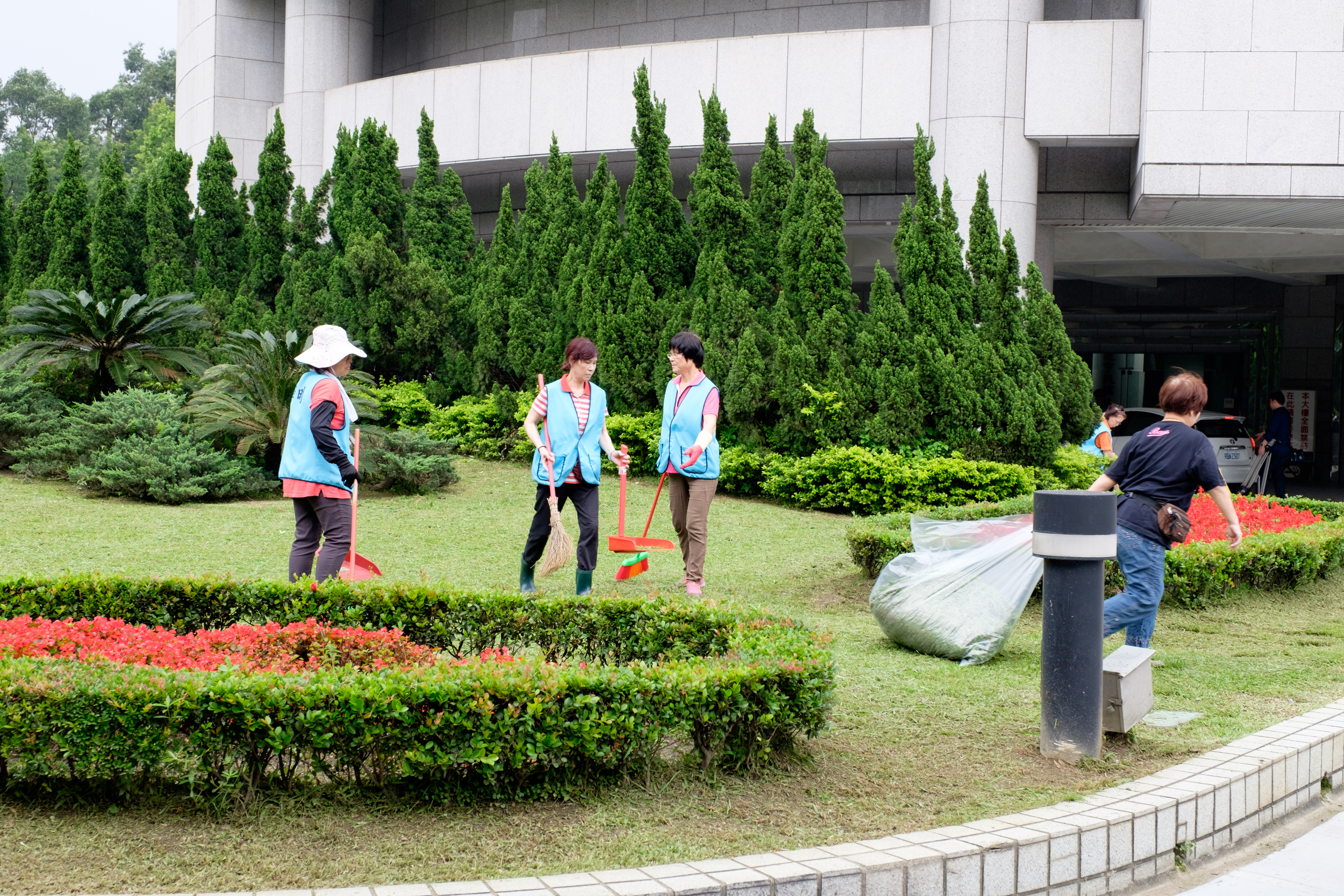 Grounds crew maintaining manicured hedges and cypress trees, institutional scale